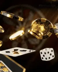 GIF 5